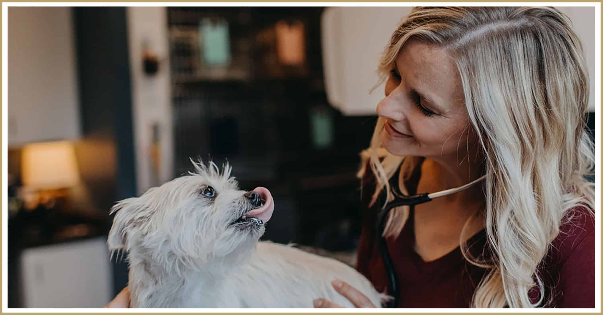 Dr. Kate McGowan doing a checkup on a small white dog