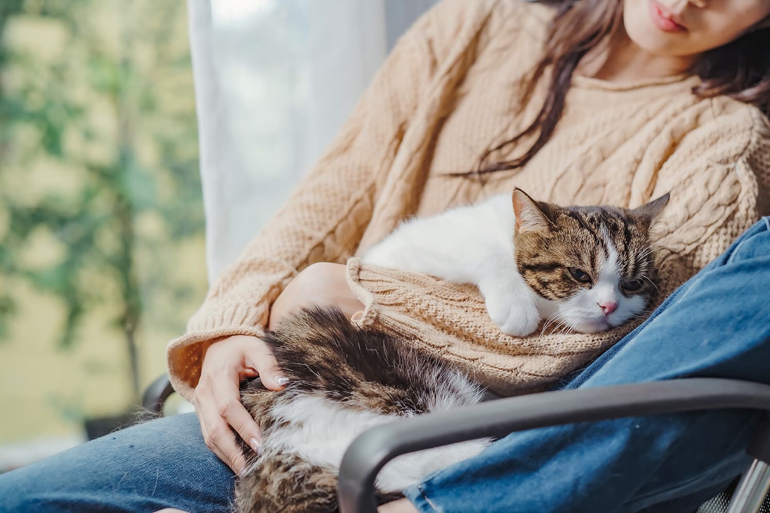 woman holding a cat at the healthy pet vet clinic