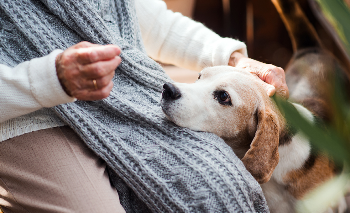 pet owner with dog before veterinary surgery at the healthy pet vet clinic