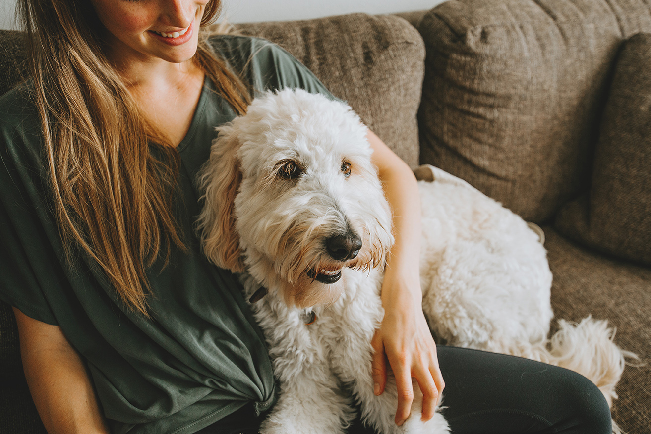 dog with owner preparing for primary care veterianry appointment