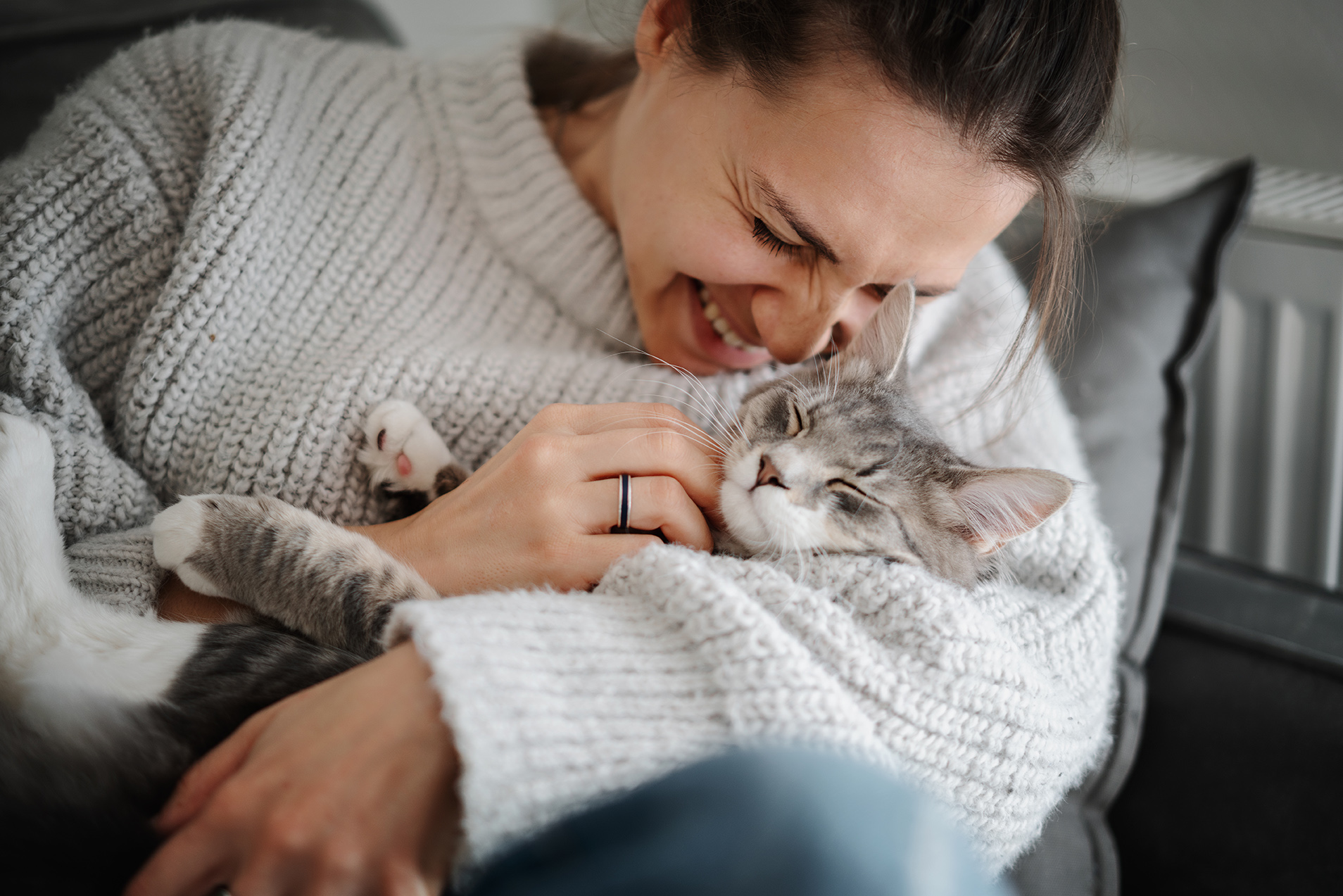 pet owner scheduling a veterinary checkup at The Healthy Pet Veterinary Clinic