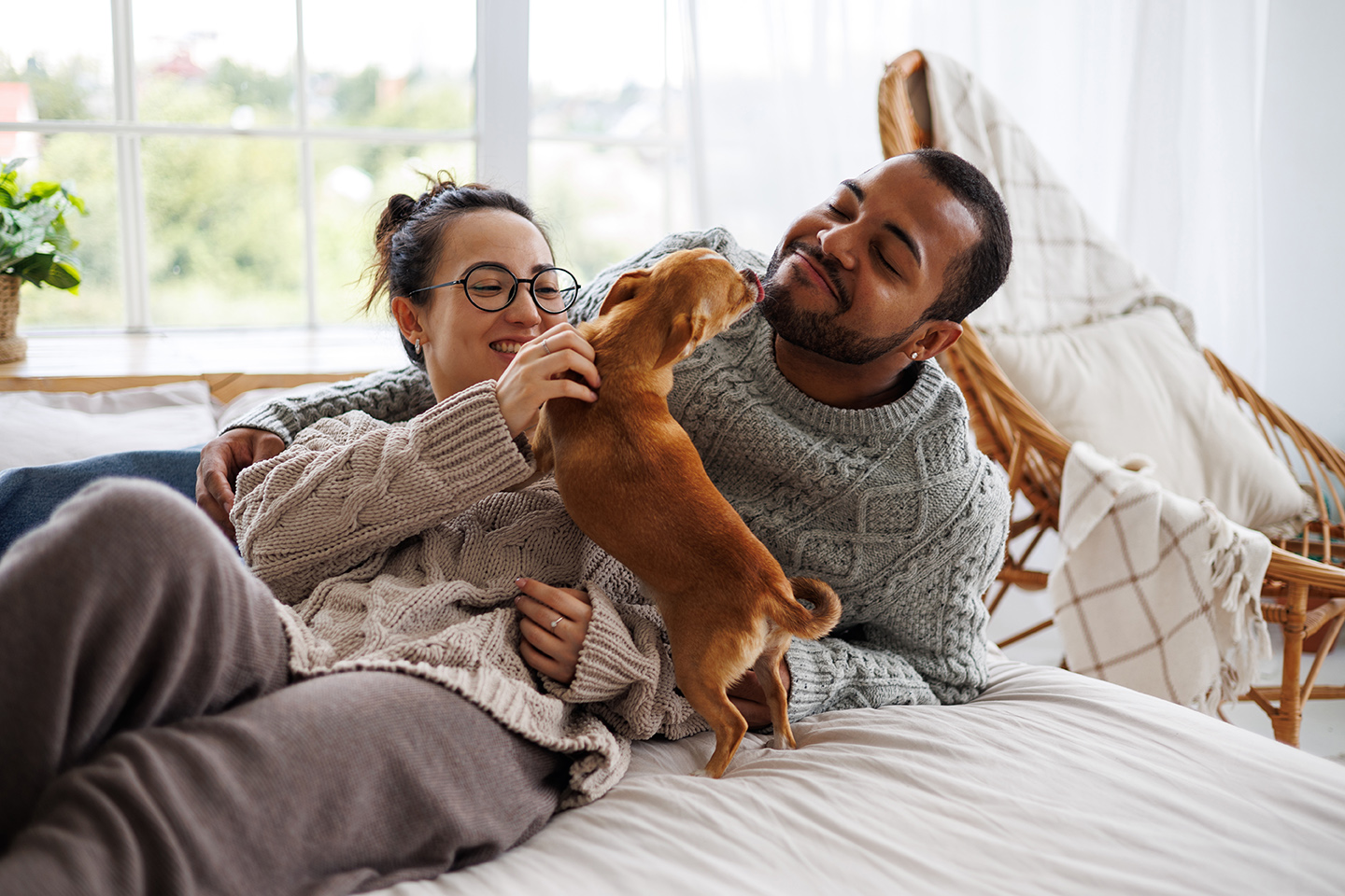 pet owners playing with their dog on a bed in mcdonough ga