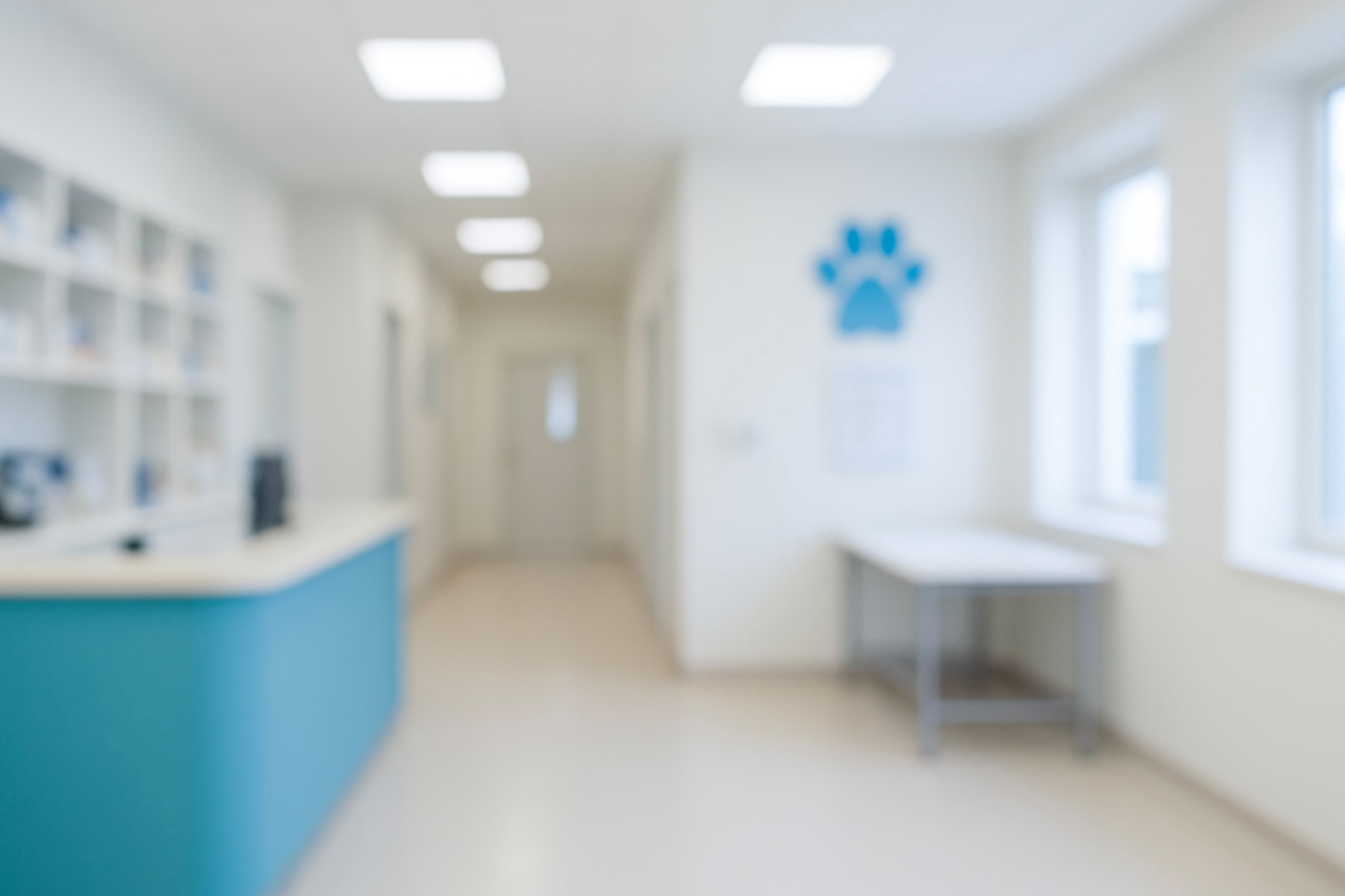 Schedule vet test in Mcdonough, GA